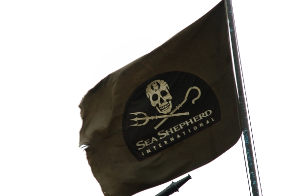 Seashepherd_small_pt.jpg