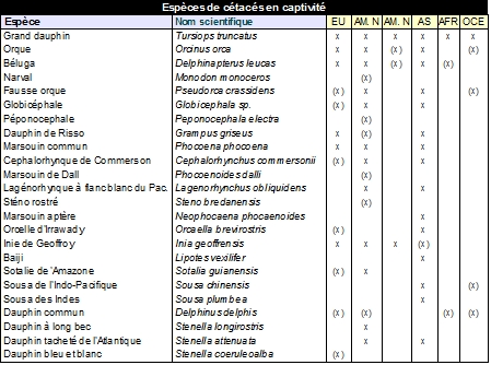 Tableau_1.jpg