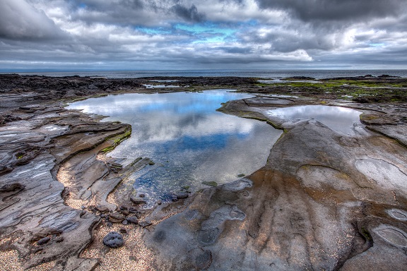 Tide_Pools_at_Galápagos,_Ecuador.jpg