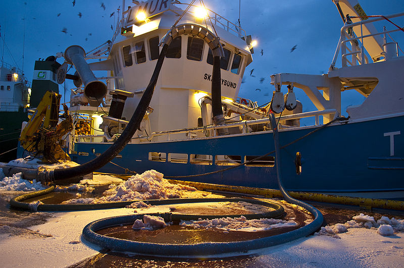 Tråler_leverer_fisk_-_Trawler_(5630760648).jpg