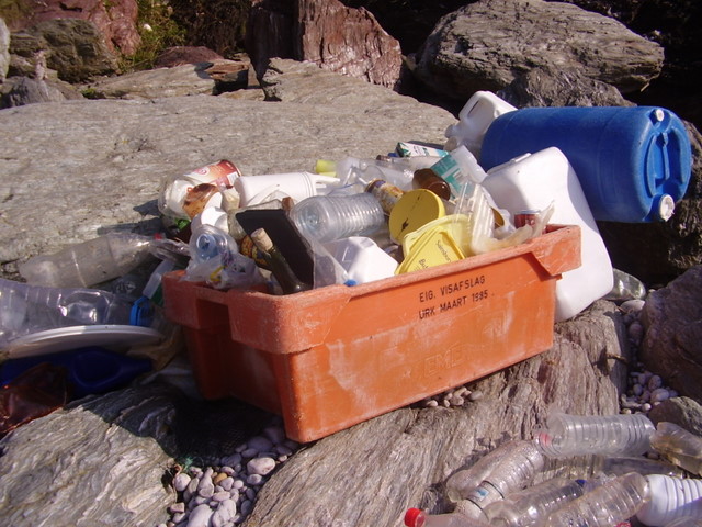 Trash_and_pebbles_-_geograph.org.uk_-_646009.jpg