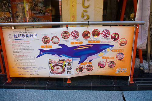 Whale restaurant (C) rc_FLickr.jpg
