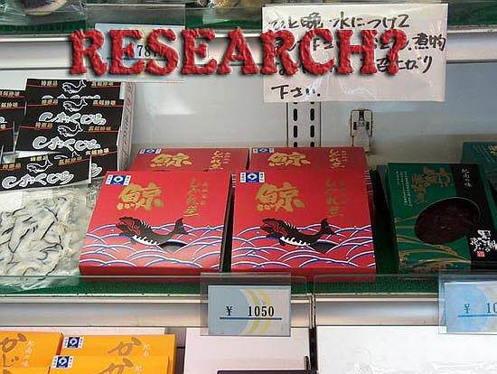 Whalers-Poison-Whale-Meat-ICR-Kyodo.jpg