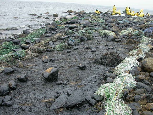 Workers_clean_up_after_oil_spill 04 06 15.jpg