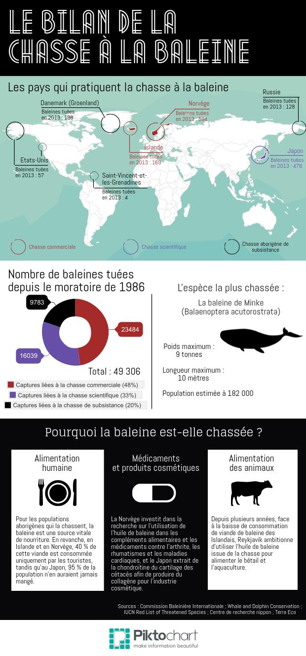 bilan-de-la-chasse-a-la-baleine.jpg