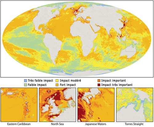 impact-homme-oceans.jpg