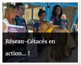 rc-en-action
