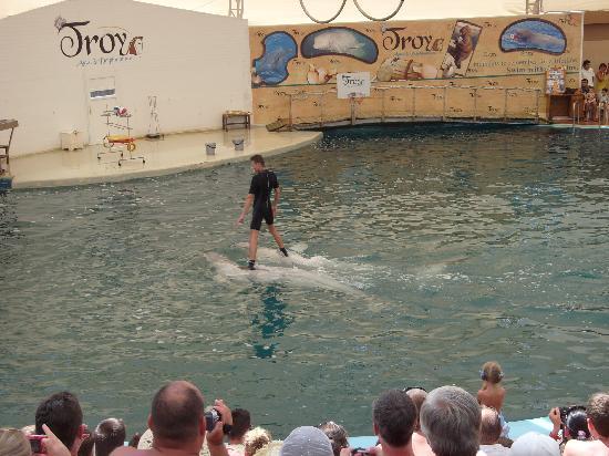 troy-aqua-dolphinarium -Aug 2010(C) Stephlaw-Tripadvisor.jpg