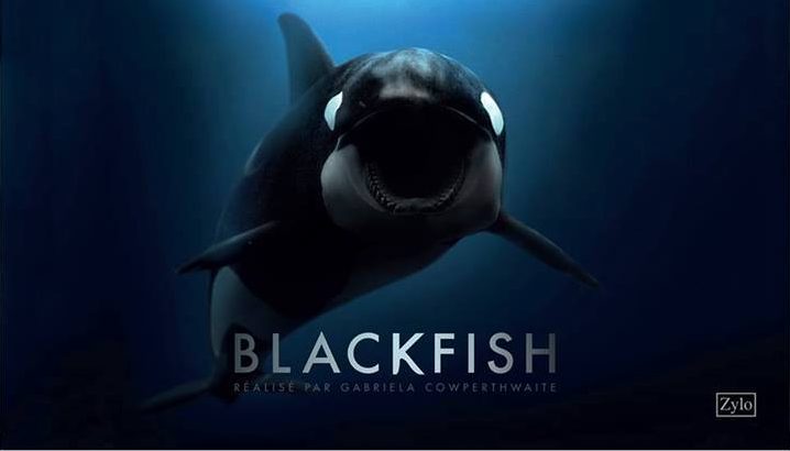 Nouvelle distribution de DVD devant le Marineland