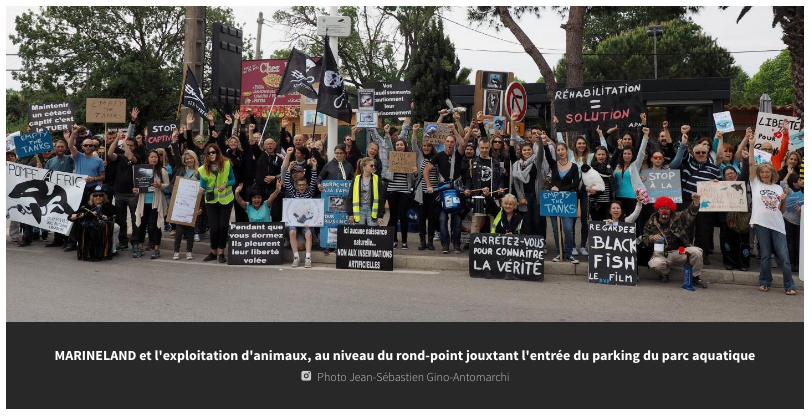 Plus d’une centaine de manifestants devant Marineland