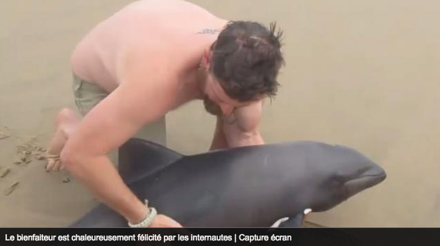Vidéo. Namibie. Il sauve un dauphin et devient le héros du web