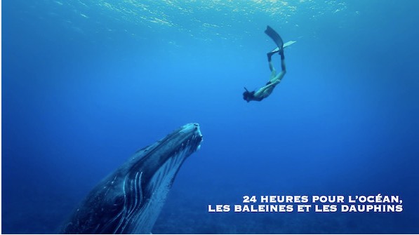 24 heures pour les océans, les baleines, les dauphins, à Paris
