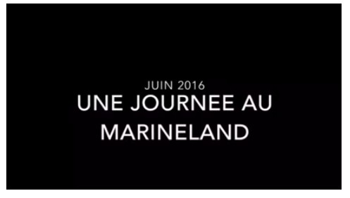 Une Journée à Marineland…