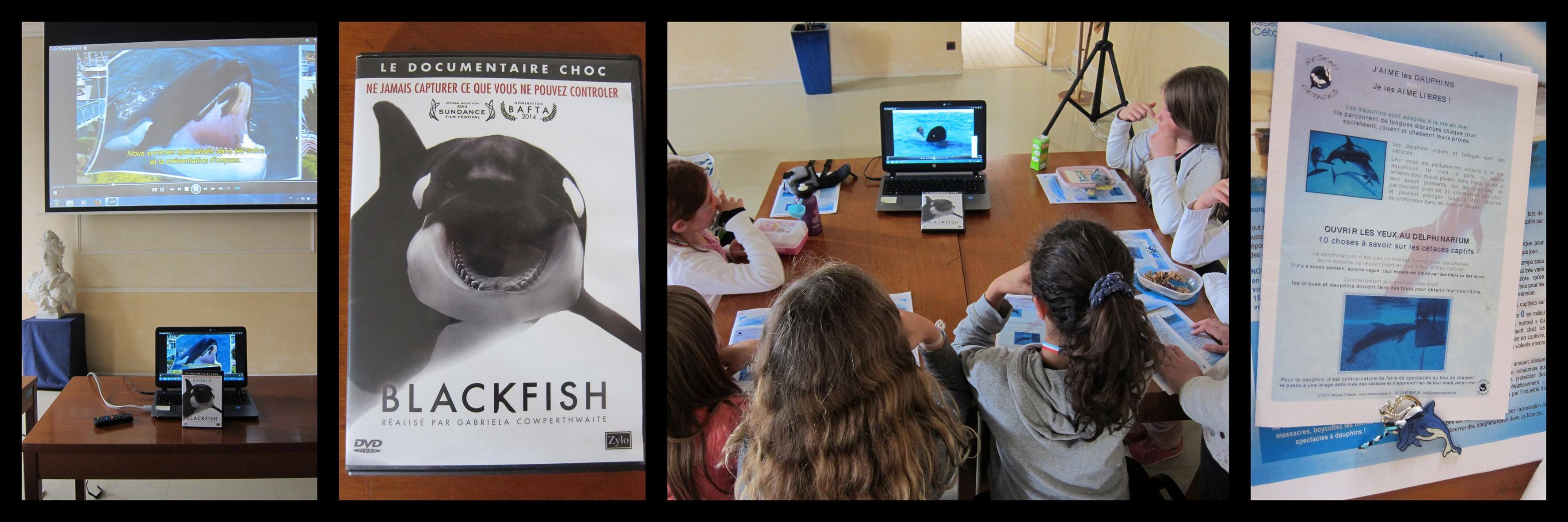 Réseau-Cétacés vous prête gracieusement le DVD Blackfish ou The Cove…