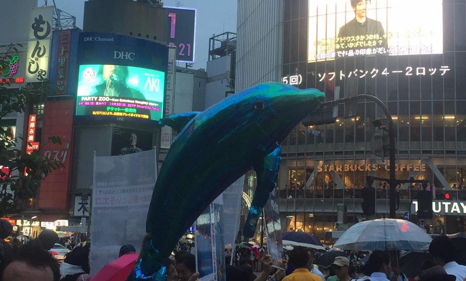 Des militants dénoncent l’exploitation des dauphins en plein Tokyo