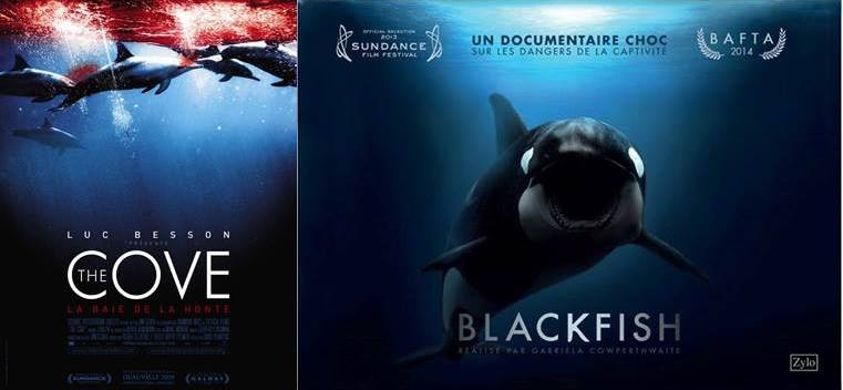 « Blackfish » & « The Cove » entre les mains des sponsors de Marineland… !