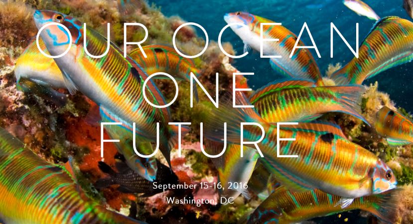 Etats-Unis, Washington – Intervention de Mme Ségolène Royale à la conférence « Our Ocean 2016 »