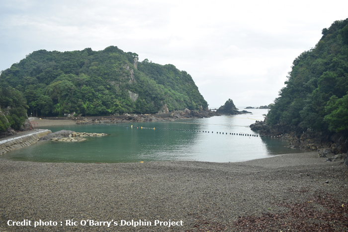 Ric O’Barry’s Dolphin Project : Taiji 1 par Sébastien Blanc