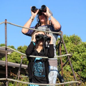 Veteran Dolphin Project Cove Monitor Vicki Kiely and her daughter, Imogen, watching the horizon for hunting boats Credit: DolphinProject.com