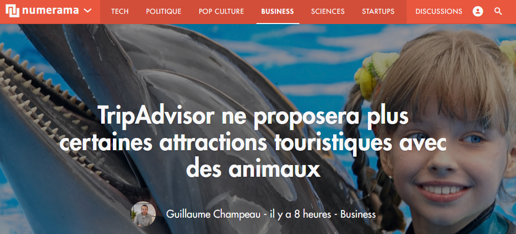 TripAdvisor ne proposera plus certaines attractions touristiques avec des animaux