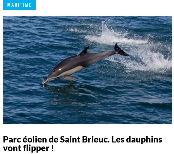 Parc éolien de Saint Brieuc. Les dauphins vont flipper !
