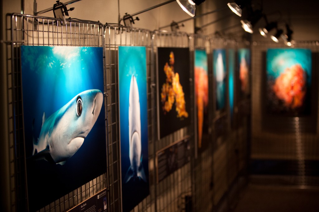 Partage de bonnes idées : Concours Photos Festisub