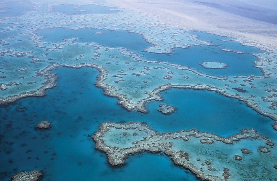 Australie – Cette menace pour des millions d’humains qui dort au fond des océans