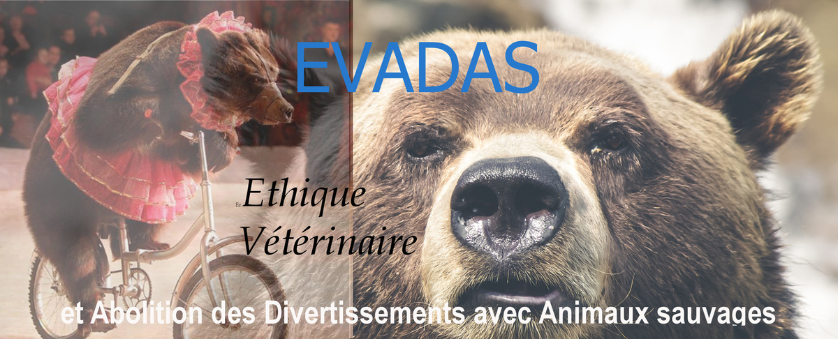 EVADAS : Une collectif de vétérinaires s’oppose à l’exploitation des animaux
