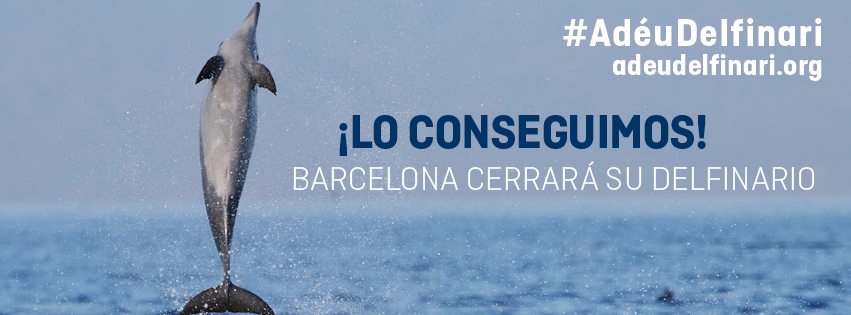 Barcelone : La ville va fermer son dernier delphinarium