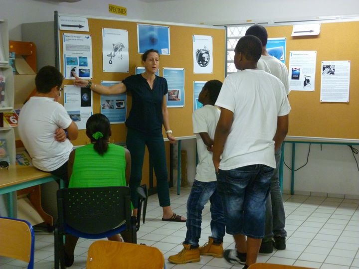 Expo « Aimer les cétacés, c’est respecter leur liberté », Collège de Petit-Canal (Guadeloupe) du 5 au 13 janvier 2017…