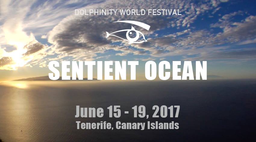 Ténérife (Iles Canaries) : Evénement – Le Festival Dolphinity ouvre ses portes !
