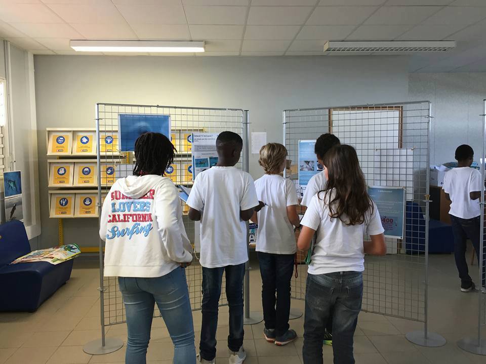 Exposition « Aimer les cétacés, c’est respecter leur liberté », au Collège Guenette, Le Moule (Guadeloupe), mars 2017…