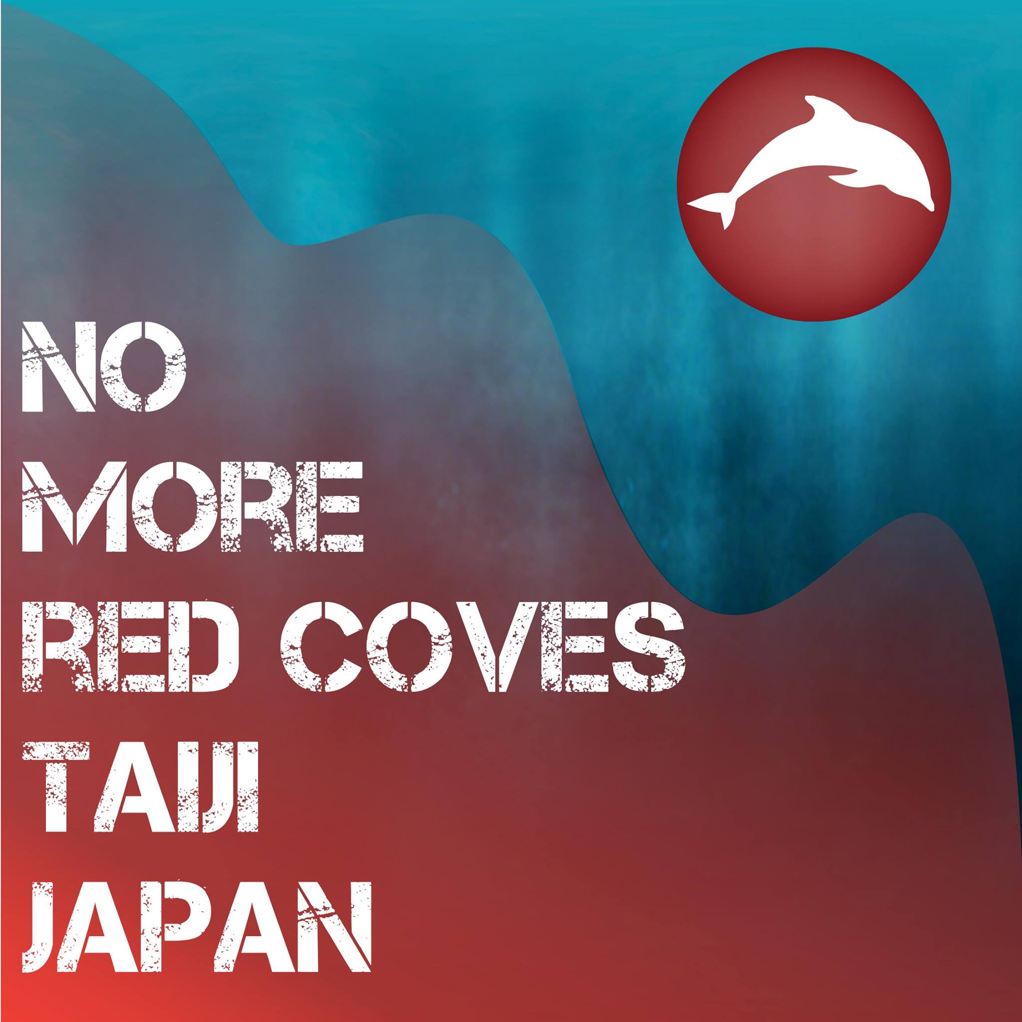 Appel aux dons : Japon – Pour la prochaine saison de chasse au dauphin, Réseau-Cétacés souhaite être sur le terrain aux côtés du Ric O’Barry’s Dolphin Project.