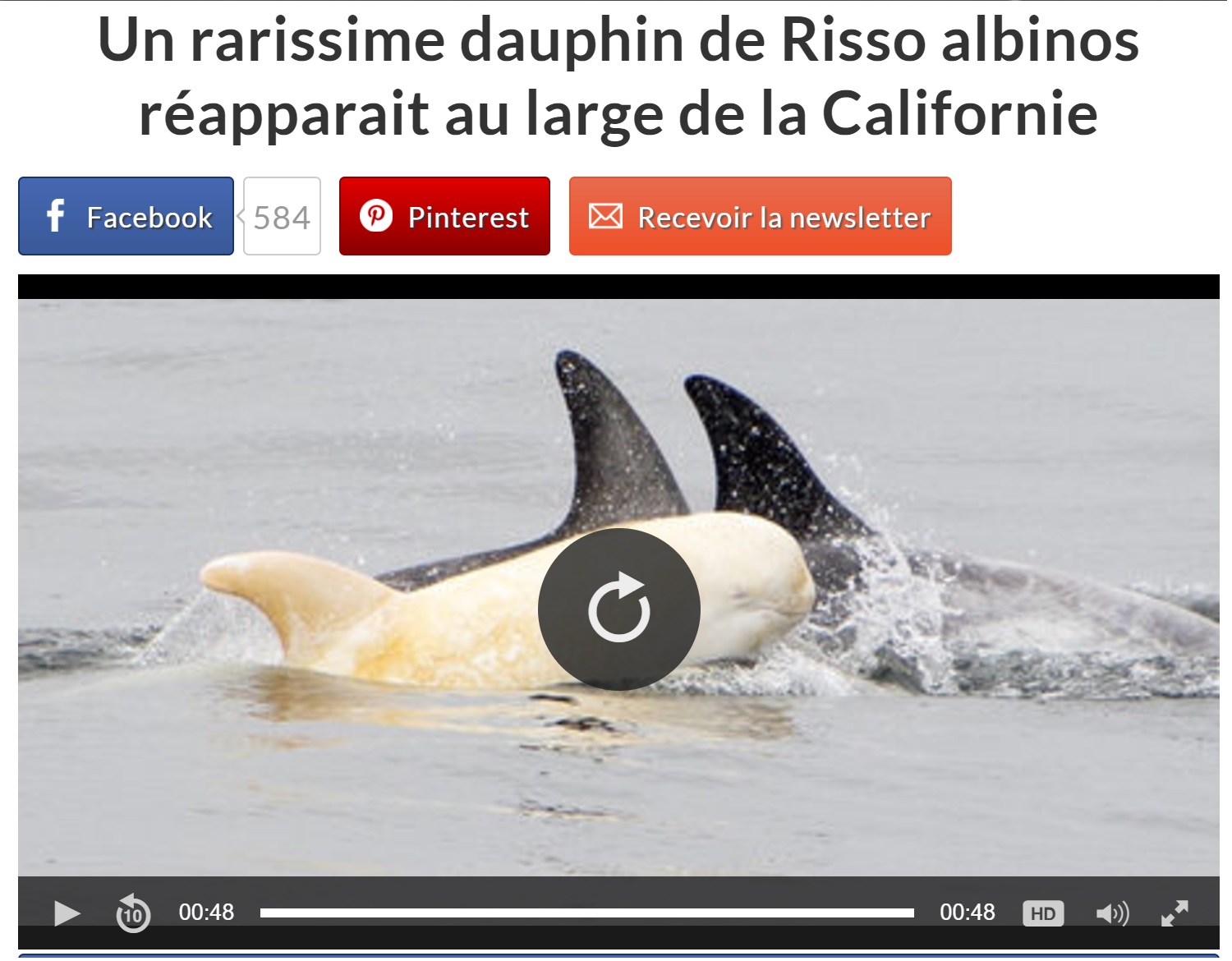 Un rarissime dauphin de Risso albinos réapparait au large de la Californie