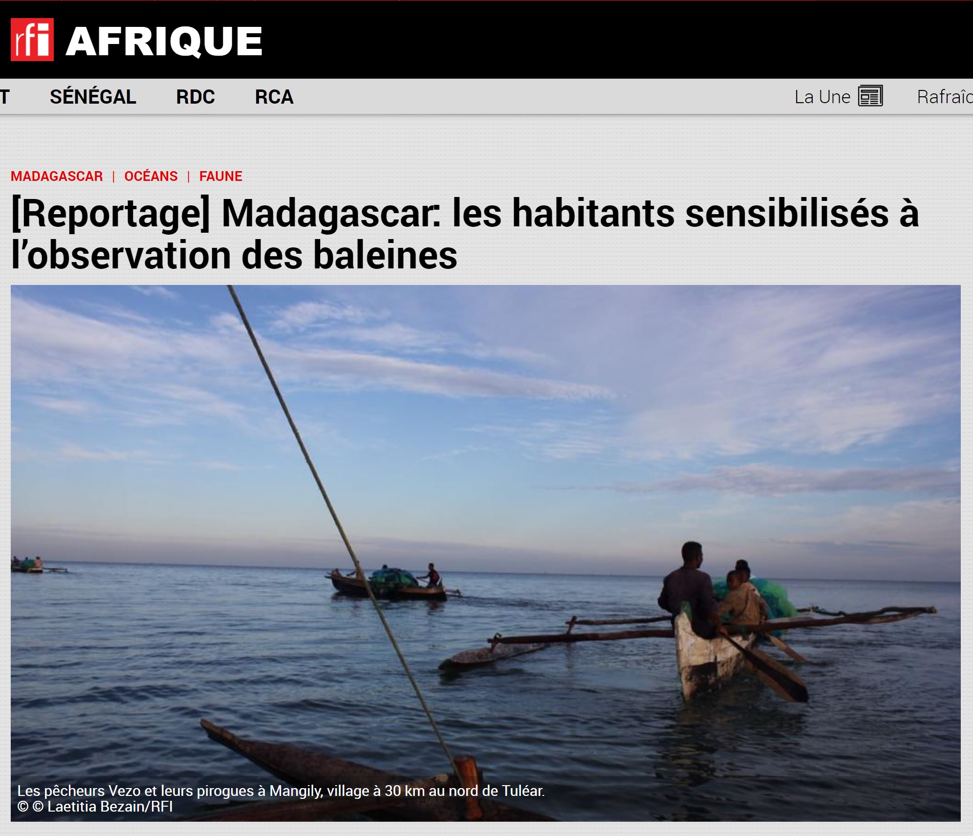 Madagascar : les habitants sensibilisés à l’observation des baleines