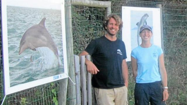 Les dauphins s’exposent à la plage de Port-Mer (35, Bretagne), tout l’été… !