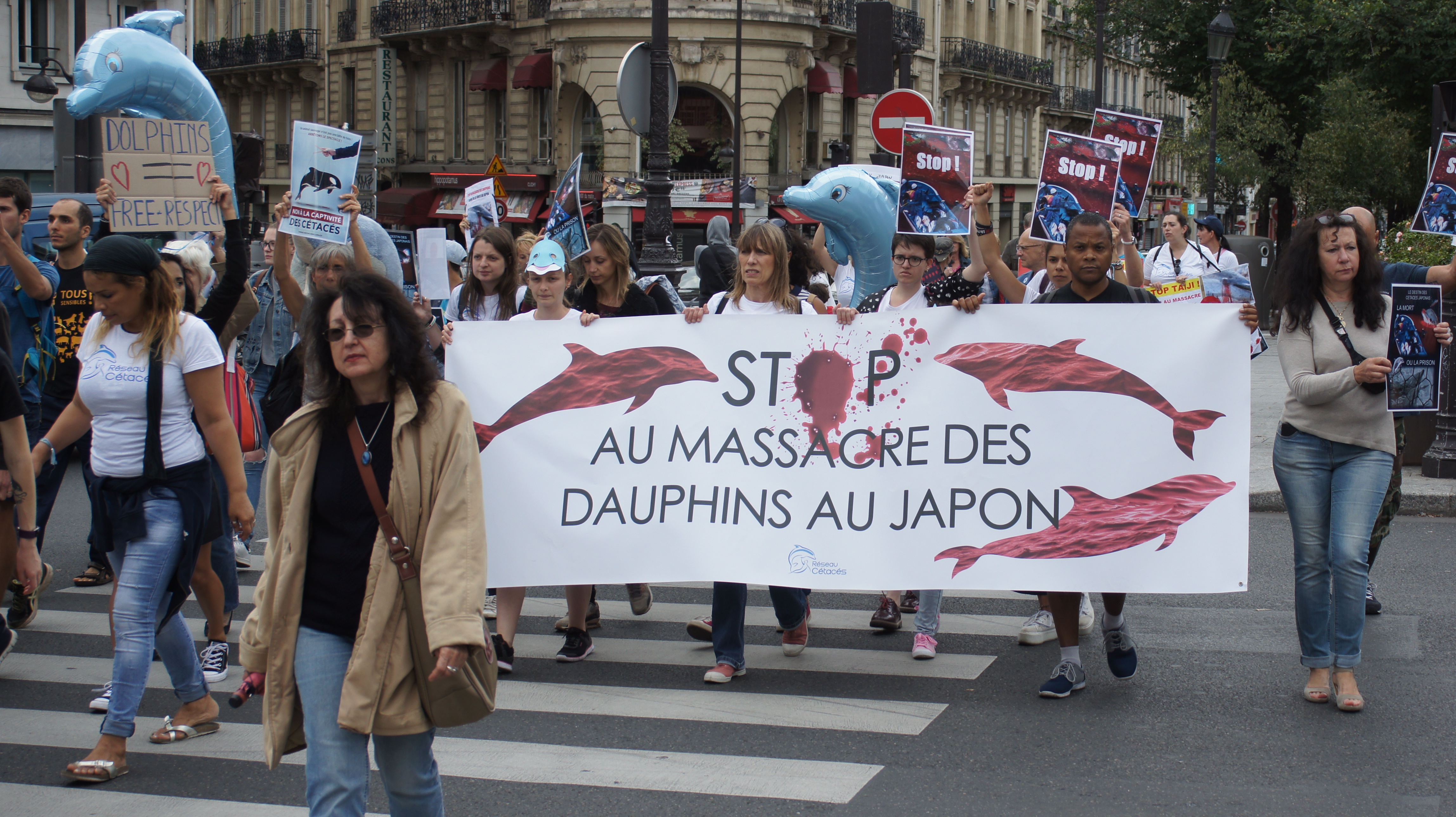 Japan Dolphins Day 2017, Paris – 2 septembre : retour en images