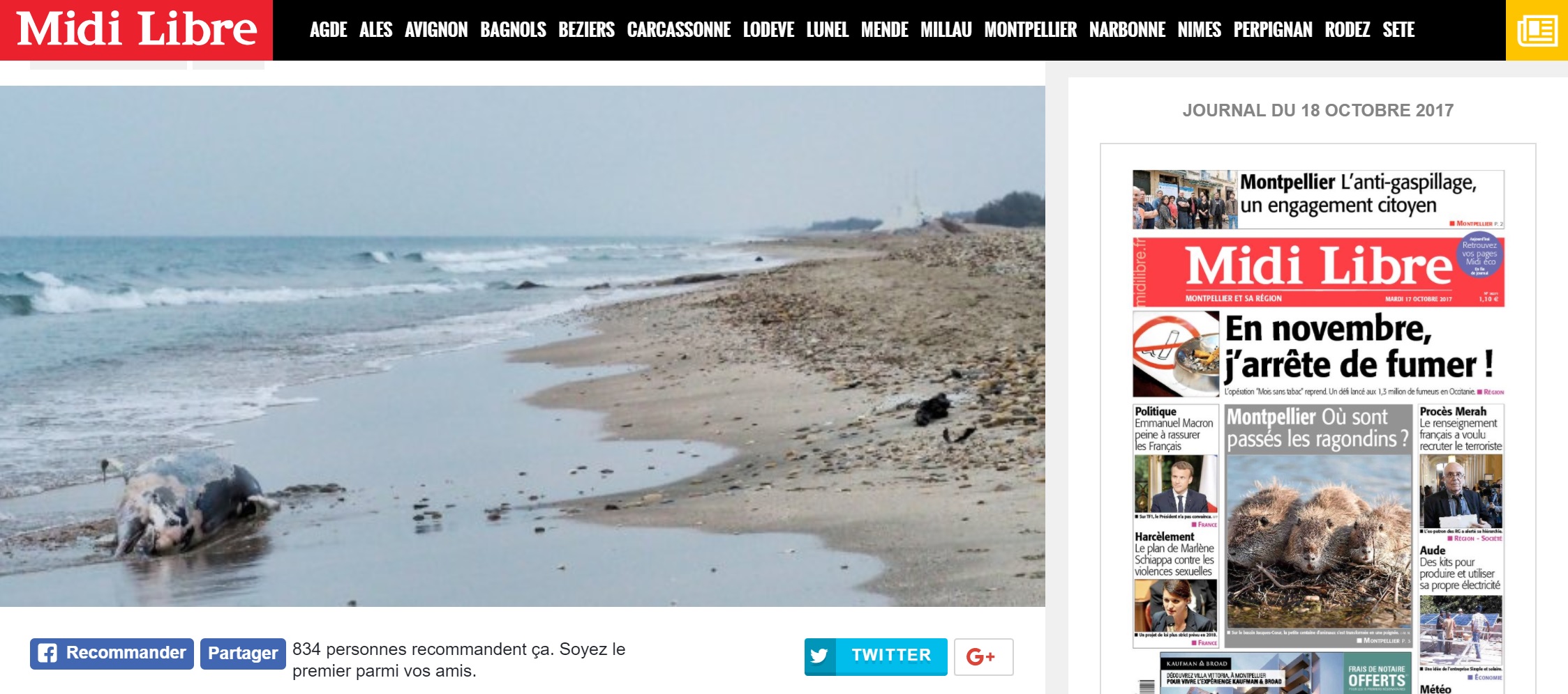 Hérault : Un dauphin échoué sur une plage de l’Hérault