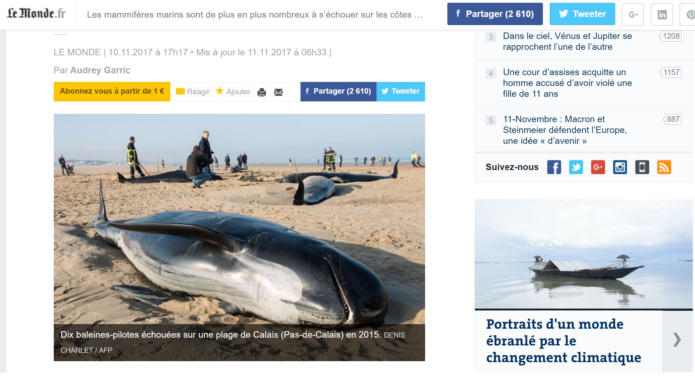 Les mammifères marins sont de plus en plus nombreux à s’échouer sur les côtes françaises