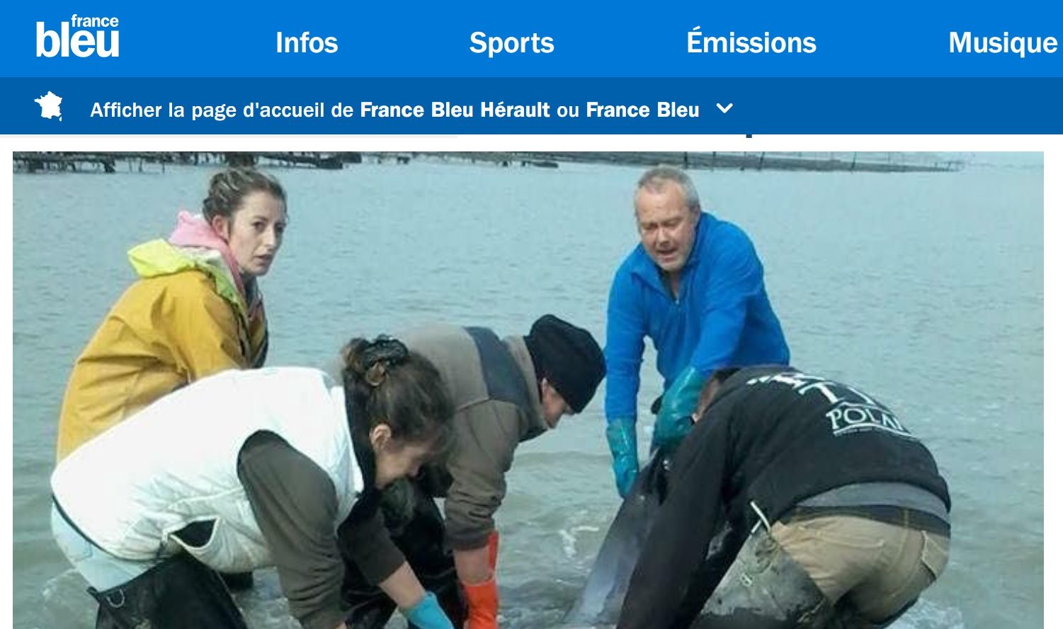 Deux dauphins sauvés sur la plage de Sète