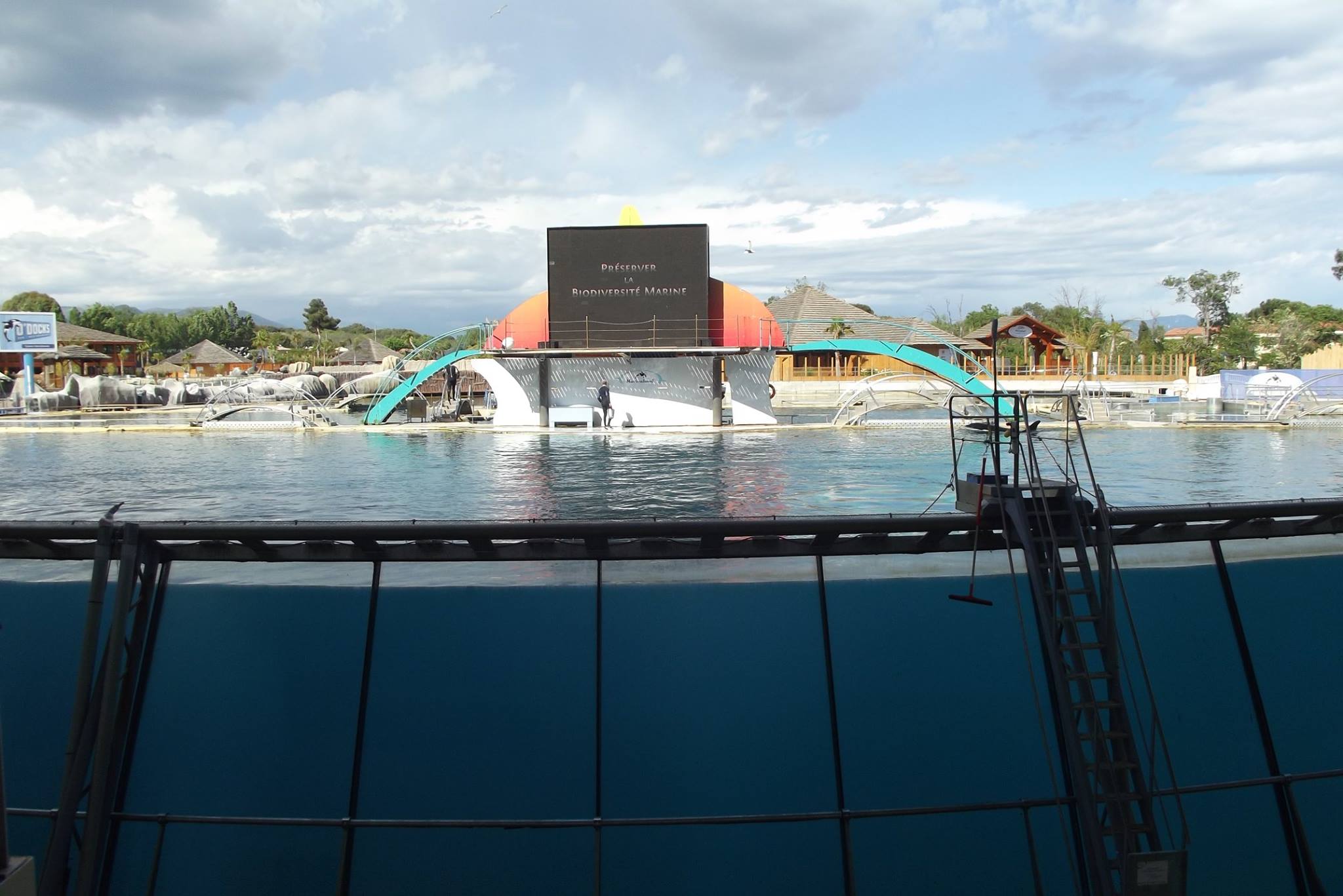 Maltraitance animale : le Marineland d’Antibes a-t-il payé pour obtenir son label de bonne conduite ?