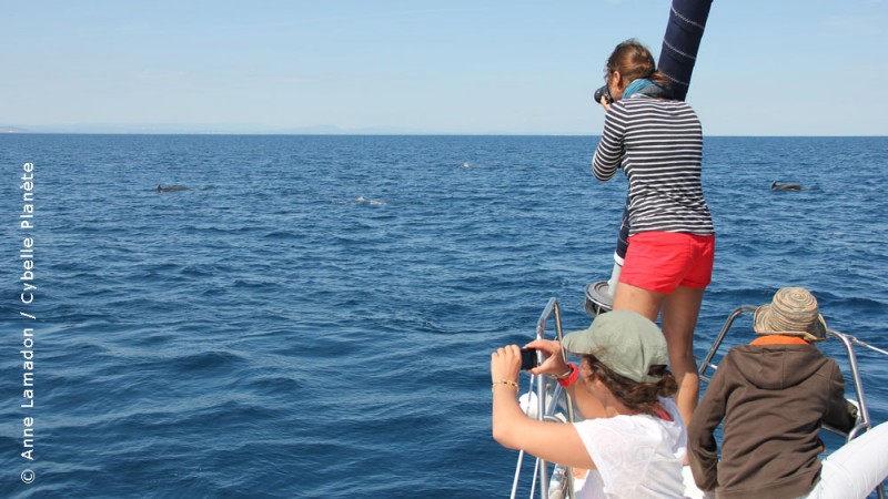 Cybelle-Planète : Une mission d’écovolontariat en mer Méditerranée hors saison !