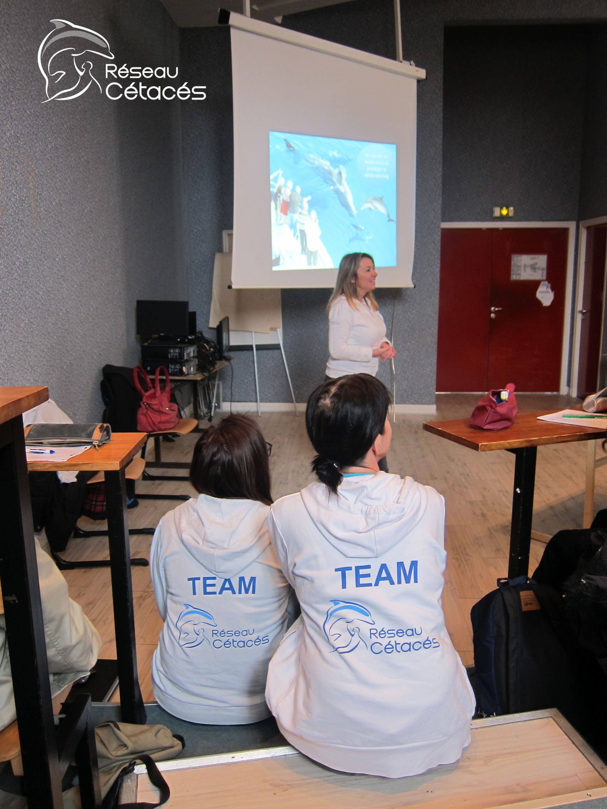 Intervention au collège Catherine de Vivonne, Rambouillet (78), le 8