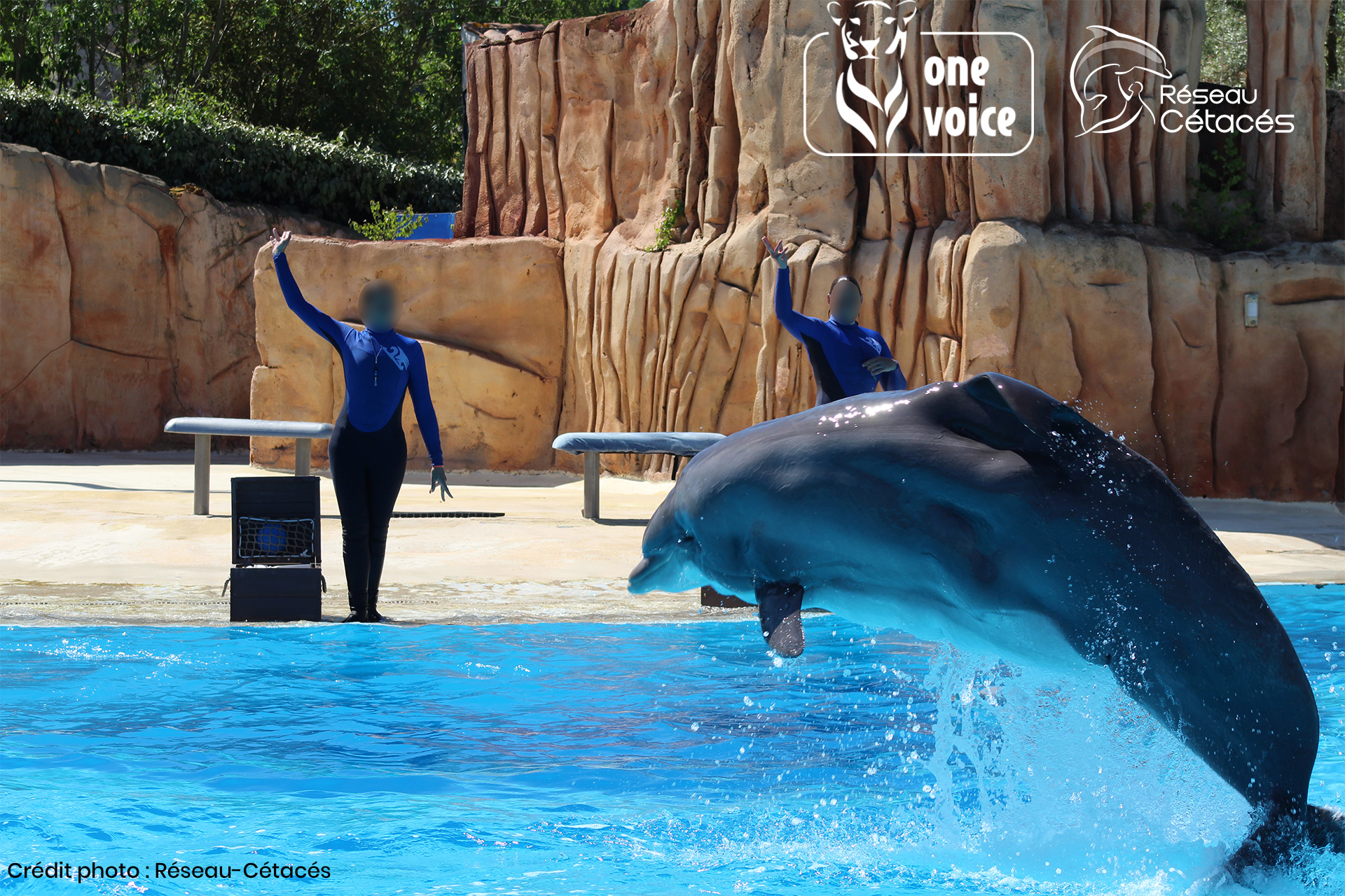 Journée mondiale #Emptythetanks : la France se mobilise pour Femke ! #UnSanctuairePourFemke