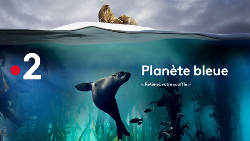 [ 📱 Replay – « Planète Bleue » ]