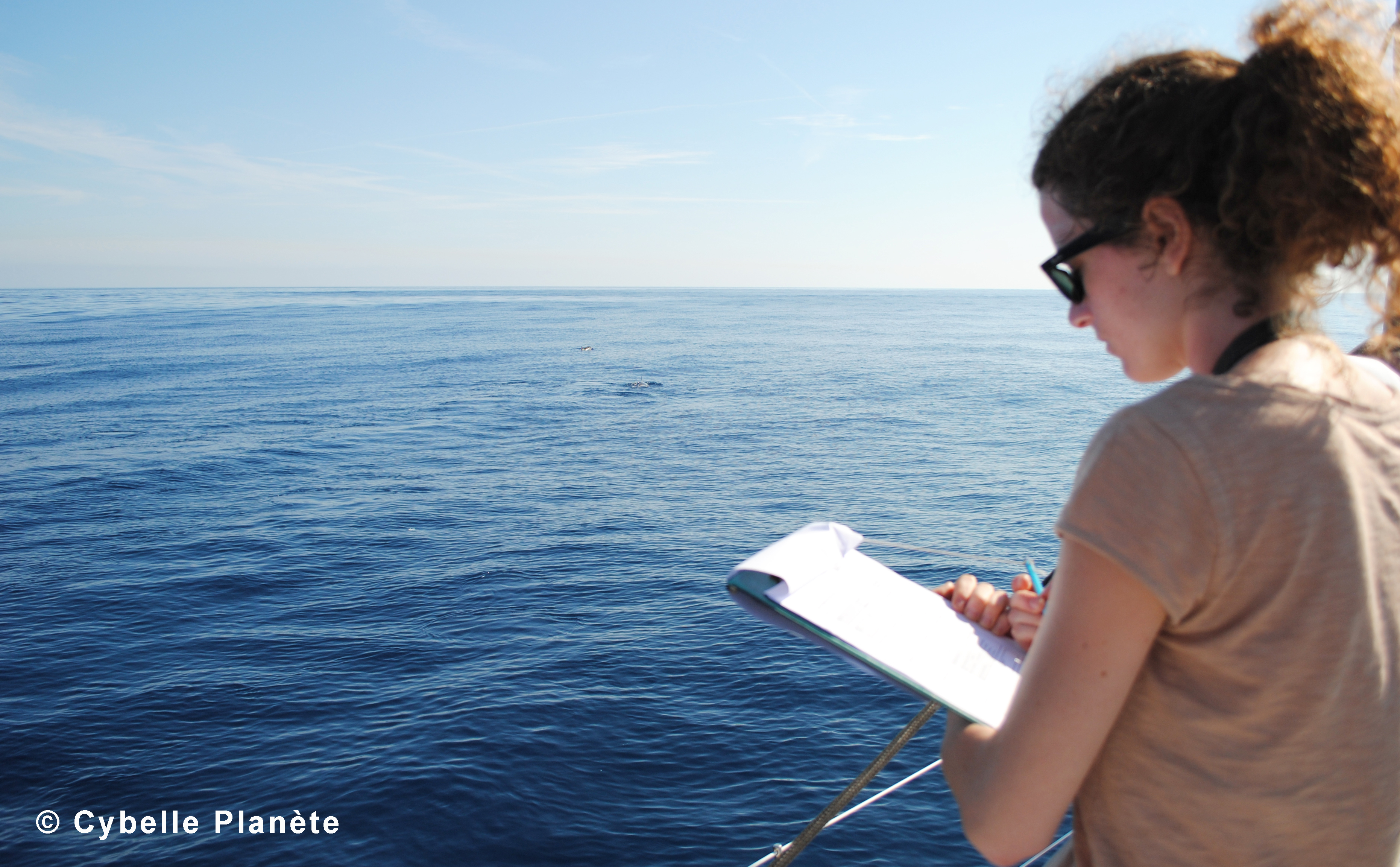 Cet été, partez avec Cybelle Planète en mission d’écovolontariat pour recenser la faune marine de Méditerranée