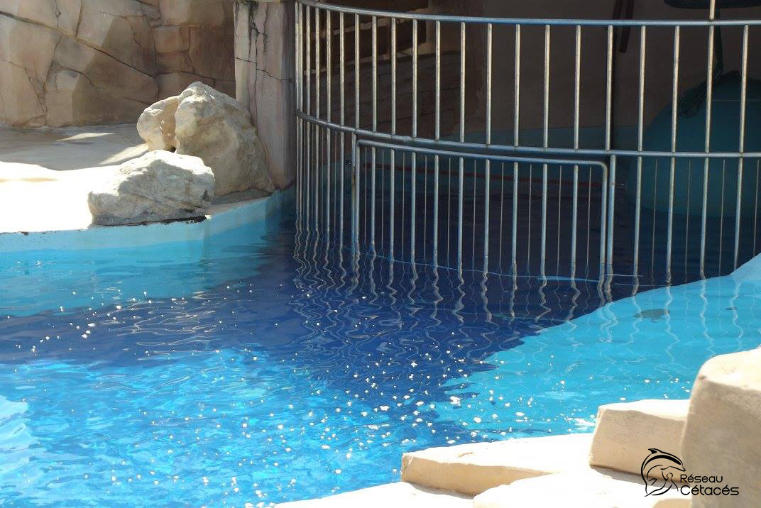 Marineland en sursis : finis les feux d’artifice, place aux quizz pédagogiques !