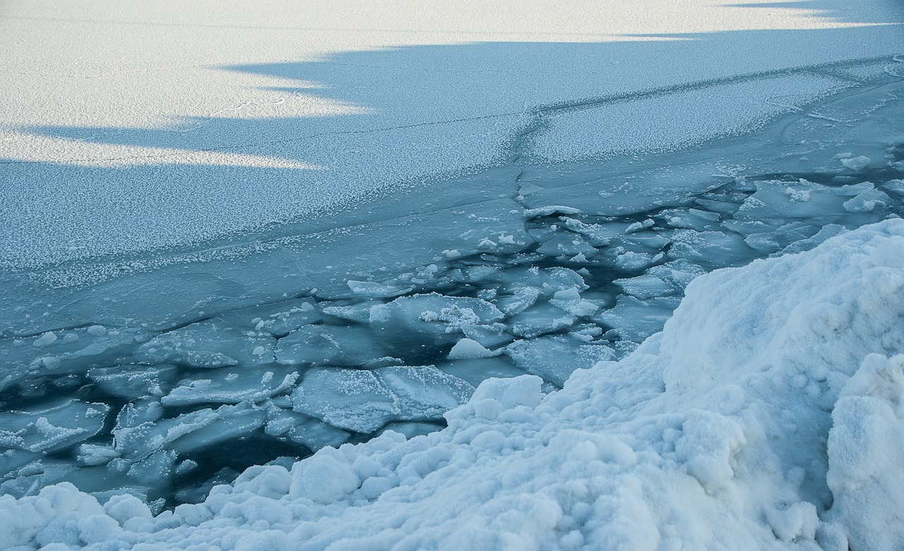 Le transport accru présente un risque pour les mammifères marins dans l’Arctique