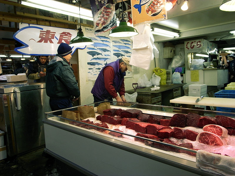 Baleine : le Japon étudie son retrait de la Commission Internationale pour relancer la pêche commerciale