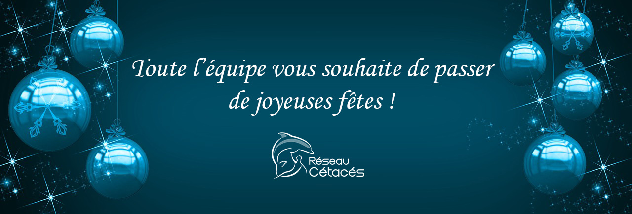 L’équipe de Réseau-Cétacés vous souhaite de belles fêtes de fin d’année 🎊 🐋 🐬